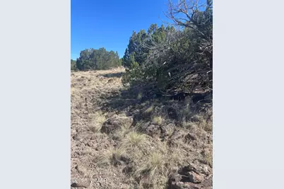 87 Lexington, Concho, AZ 85924 - Photo 12