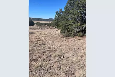 87 Lexington, Concho, AZ 85924 - Photo 2