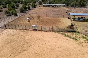 103 Co Rd 3167, Vernon, AZ 85940 - Photo 10