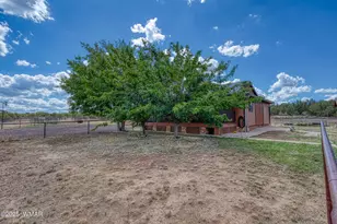 103 Co Rd 3167, Vernon, AZ 85940 - Photo 4