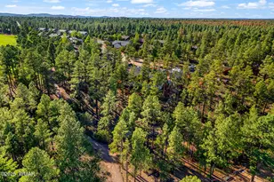 2701 W Villa Loop, Show Low, AZ 85901 - Photo 14