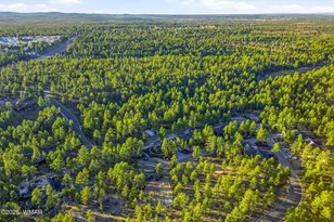 30 S Bench Cir, Show Low, AZ 85901 - Photo 36