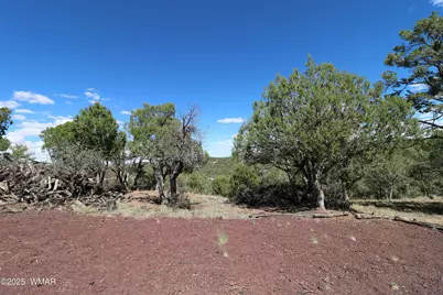 5287 Alserita Rd Road, Show Low, AZ 85934 - Photo 30
