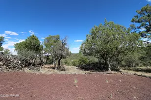 5287 Alserita Rd Rd, Show Low, AZ 85934 - Photo 30