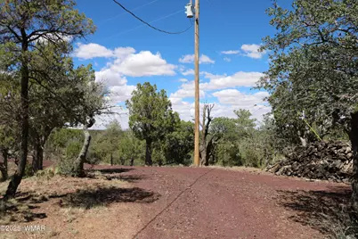 5287 Alserita Rd Road, Show Low, AZ 85934 - Photo 34