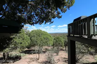 5287 Alserita Rd Rd, Show Low, AZ 85934 - Photo 28