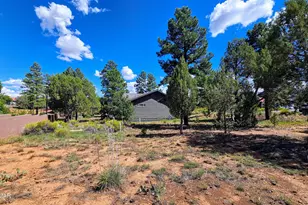4800 Mountain Hollow Loop, Show Low, AZ 85901 - Photo 28
