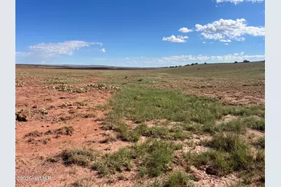1342 County Road 5020, Concho, AZ 85924 - Photo 4