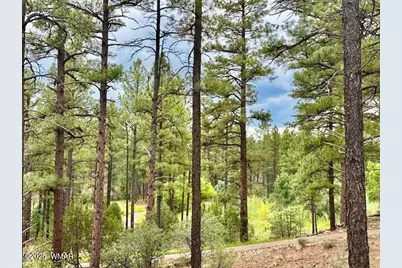 2711 W Villa Loop, Show Low, AZ 85901 - Photo 16