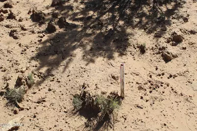 10 Co Rd 3044, Concho, AZ 85924 - Photo 14