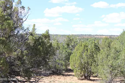 10 Co Rd 3044, Concho, AZ 85924 - Photo 2