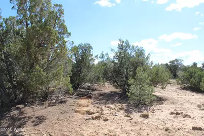 10 Co Rd 3044, Concho, AZ 85924 - Photo 12