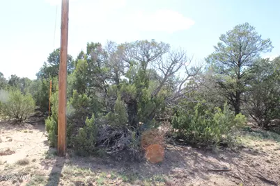 10 Co Rd 3044, Concho, AZ 85924 - Photo 10