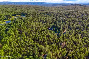 2332 Hall Dr, Lakeside, AZ 85929 - Photo 80