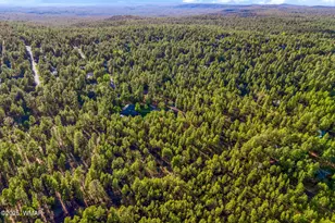 2332 Hall Dr, Lakeside, AZ 85929 - Photo 84