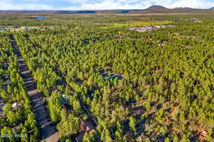 2332 Hall Dr, Lakeside, AZ 85929 - Photo 82