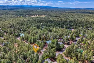 4956 Blue Spruce Ln, Lakeside, AZ 85929 - Photo 40