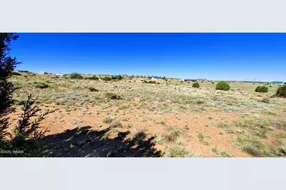 1190 S Haystack Road, Taylor, AZ 85939 - Photo 2