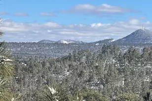 861 E Pine Oaks Dr, Show Low, AZ 85901 - Photo 6