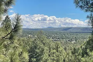 861 E Pine Oaks Dr, Show Low, AZ 85901 - Photo 2