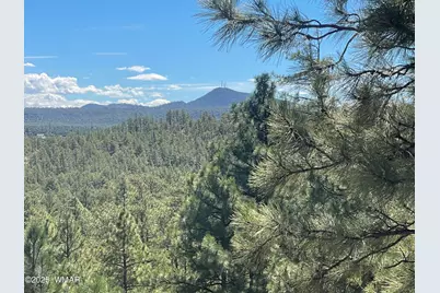 861 E Pine Oaks Drive, Show Low, AZ 85901 - Photo 4