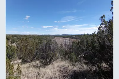 1787 Bemus Place, Show Low, AZ 85901 - Photo 6