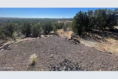 1787 Bemus Place, Show Low, AZ 85901 - Photo 4