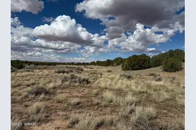 Tbd Falcon Drive, Taylor, AZ 85939 - Photo 12