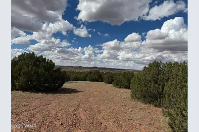 Tbd Falcon Drive, Taylor, AZ 85939 - Photo 14