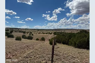 Tbd Falcon Drive, Taylor, AZ 85939 - Photo 8