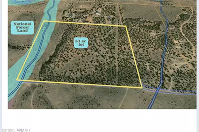 Tbd Falcon Drive, Taylor, AZ 85939 - Photo 4