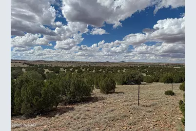 Tbd Falcon Drive, Taylor, AZ 85939 - Photo 8