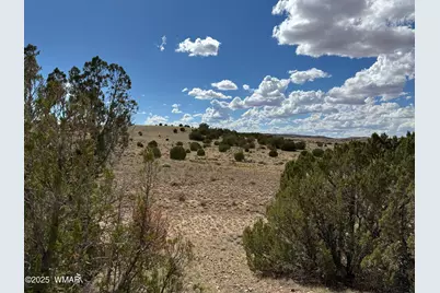 Tbd Falcon Drive, Taylor, AZ 85939 - Photo 6
