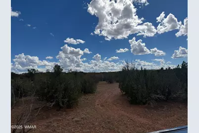 Tbd Falcon Drive, Taylor, AZ 85939 - Photo 18