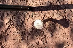 8933 Blue Jay Ln, Snowflake, AZ 85937 - Photo 16