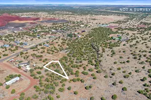 8795 Luana Dr, Show Low, AZ 85901 - Photo 1