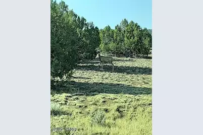 164 N Acr 3411, Vernon, AZ 85940 - Photo 36