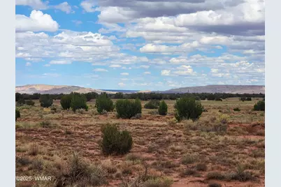 5386 County Road N5386, Saint Johns, AZ 85936 - Photo 32