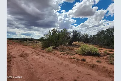 5386 County Road N5386, Saint Johns, AZ 85936 - Photo 24