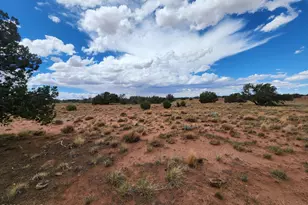 5386 County Road N5386, Saint Johns, AZ 85936 - Photo 1