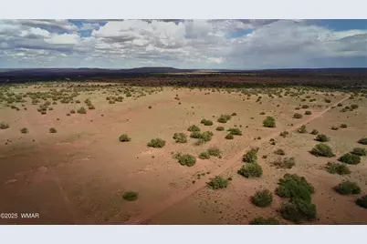 5386 County Road N5386, Saint Johns, AZ 85936 - Photo 6