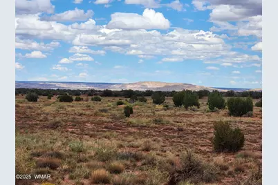 5386 County Road N5386, Saint Johns, AZ 85936 - Photo 30