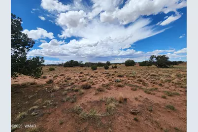 5386 County Road N5386, Saint Johns, AZ 85936 - Photo 2