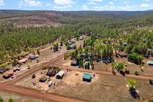 5523 Turkey Run Rd, Pinedale, AZ 85934 - Photo 24