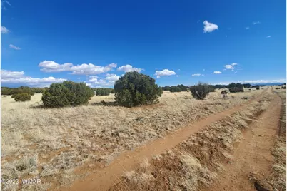 8 County Road 5203, Concho, AZ 85924 - Photo 1