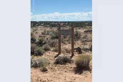 102 County Road N 6287, Saint Johns, AZ 85936 - Photo 1