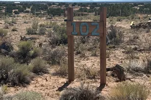 102 County Road N 6287, Saint Johns, AZ 85936 - Photo 1