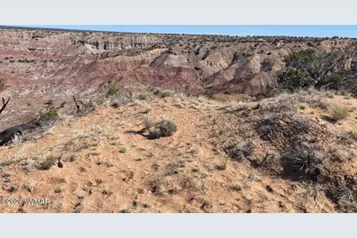 102 County Road N 6287, Saint Johns, AZ 85936 - Photo 26