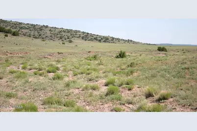 Tbd Cr 212-11-013A, Concho, AZ 85924 - Photo 6