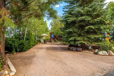 2274 Water N Hole Road, Overgaard, AZ 85933 - Photo 4